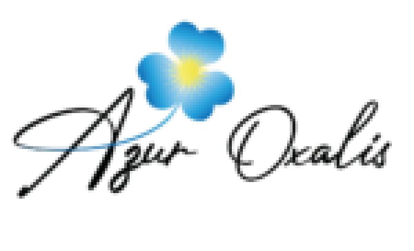 Logo du lien